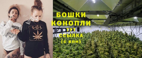 ГАЛЛЮЦИНОГЕННЫЕ ГРИБЫ Абинск
