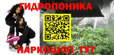 spice Пушкино