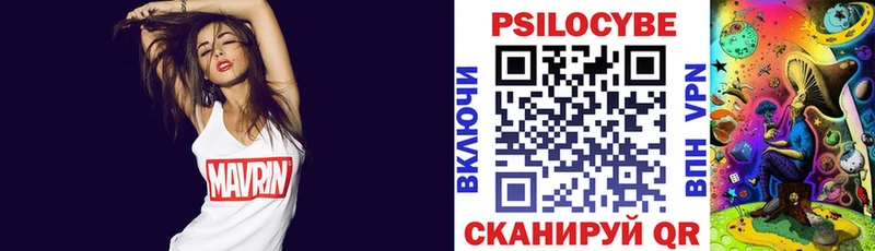 Псилоцибиновые грибы MAGIC MUSHROOMS  где найти наркотики  Хасавюрт 