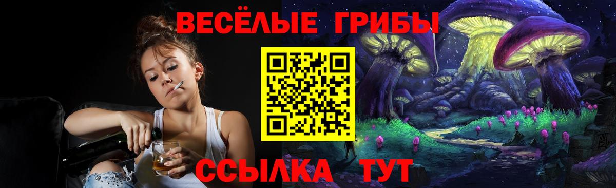 Псилоцибиновые грибы GOLDEN TEACHER  Псилоцибиновые грибы Psilocybine cubensis  Вход с VPN  Хасавюрт 